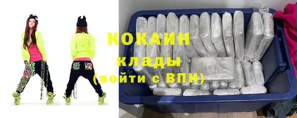 прущие грибы Арсеньев