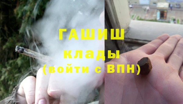 прущие грибы Аркадак