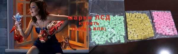 прущие грибы Арсеньев