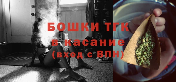прущие грибы Аркадак