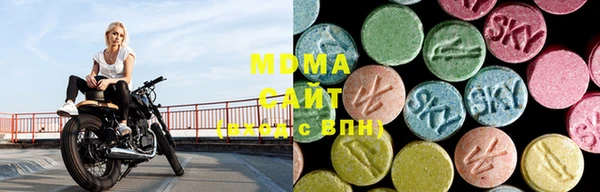 прущие грибы Аркадак