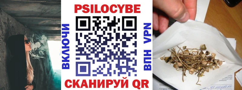 Галлюциногенные грибы Cubensis  Усть-Джегута 